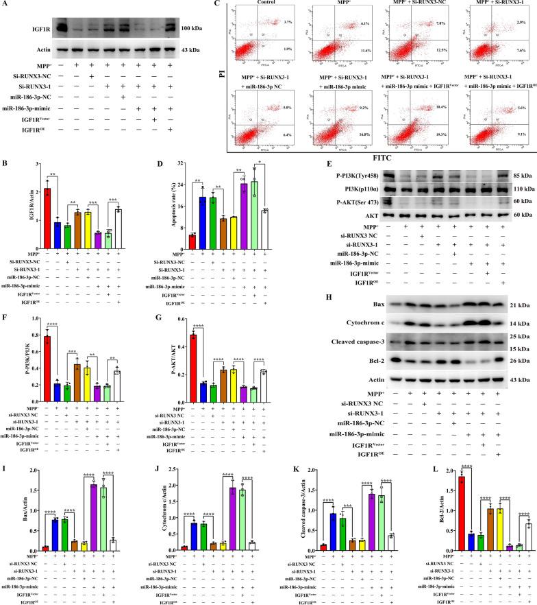 https://cdn.ncbi.nlm.nih.gov/pmc/blobs/4fbd/11299274/b4b659461caa/12967_2024_5535_Fig9_HTML.jpg