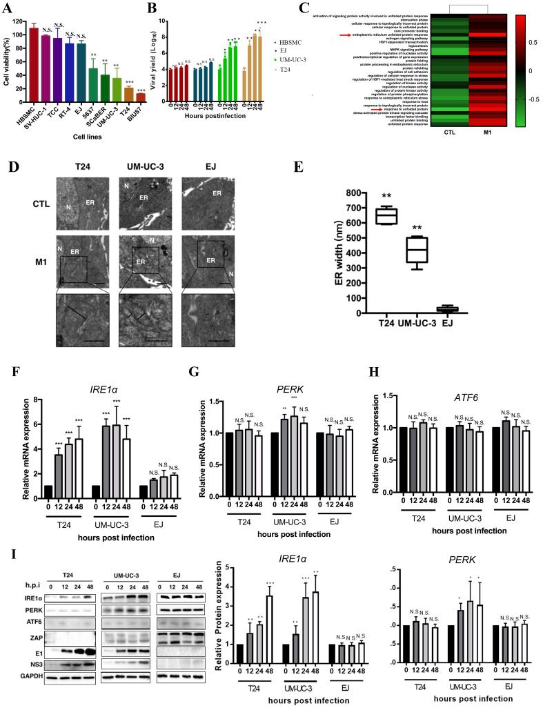 https://cdn.ncbi.nlm.nih.gov/pmc/blobs/4fbd/12366421/883ecfc45124/cdr-8-41.fig.1.jpg