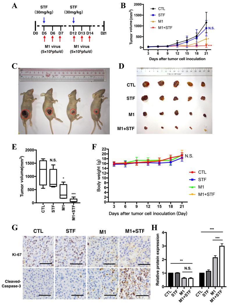 https://cdn.ncbi.nlm.nih.gov/pmc/blobs/4fbd/12366421/be521631be7f/cdr-8-41.fig.5.jpg