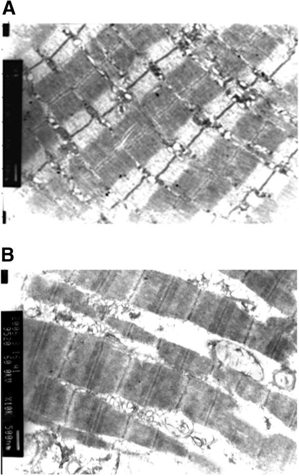 https://cdn.ncbi.nlm.nih.gov/pmc/blobs/4fbd/4048362/29bada6cc694/2047-783X-19-28-5.jpg