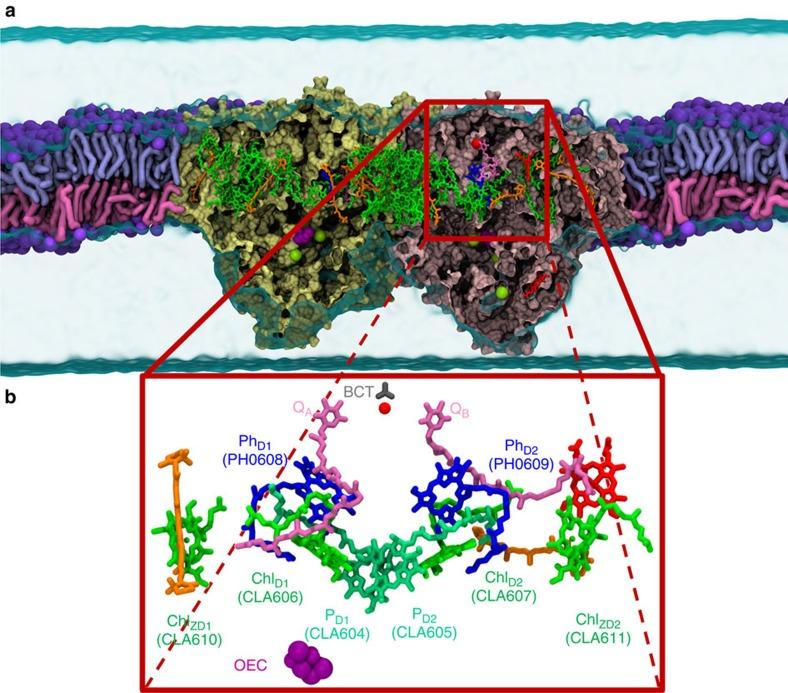 https://cdn.ncbi.nlm.nih.gov/pmc/blobs/4fbe/4083425/98f5684ef4e3/ncomms5170-f1.jpg