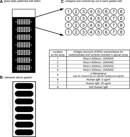 https://cdn.ncbi.nlm.nih.gov/pmc/blobs/4fbf/2850589/493edade9689/10.1177_1352458508101944-fig1.jpg