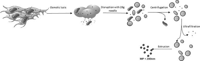 https://cdn.ncbi.nlm.nih.gov/pmc/blobs/4fc0/8058477/917b3673c76b/fimmu-12-650522-g001.jpg
