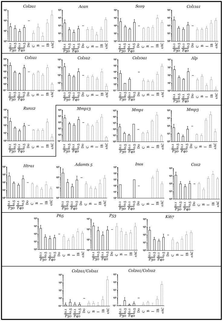 https://cdn.ncbi.nlm.nih.gov/pmc/blobs/4fc1/7826754/01cb289dd79b/ijms-22-00580-g007.jpg
