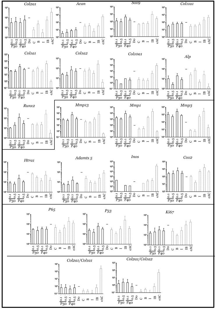 https://cdn.ncbi.nlm.nih.gov/pmc/blobs/4fc1/7826754/1d320cd1f295/ijms-22-00580-g009.jpg