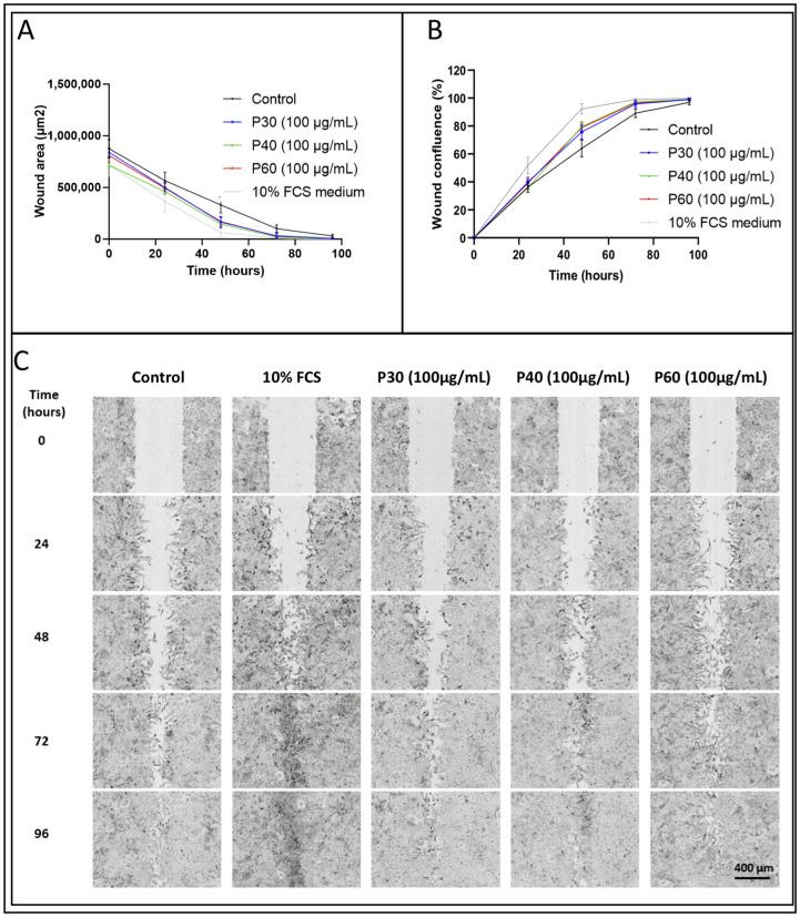 https://cdn.ncbi.nlm.nih.gov/pmc/blobs/4fc1/7826754/820b0e3e2422/ijms-22-00580-g015.jpg