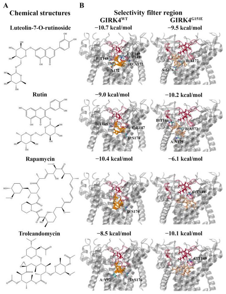 https://cdn.ncbi.nlm.nih.gov/pmc/blobs/4fc6/10745636/ceae25f484d3/molecules-28-07946-g005.jpg
