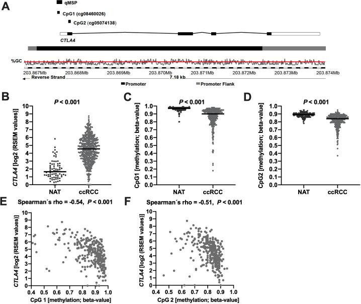 https://cdn.ncbi.nlm.nih.gov/pmc/blobs/4fc6/8395367/260c9e40932c/jitc-2021-002949f01.jpg