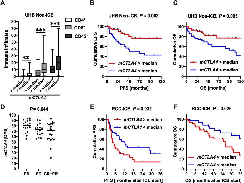 https://cdn.ncbi.nlm.nih.gov/pmc/blobs/4fc6/8395367/a31880d9d670/jitc-2021-002949f04.jpg