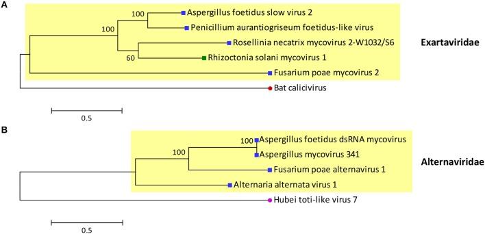 https://cdn.ncbi.nlm.nih.gov/pmc/blobs/4fc7/5592211/2d80db250b2b/fmicb-08-01699-g0003.jpg