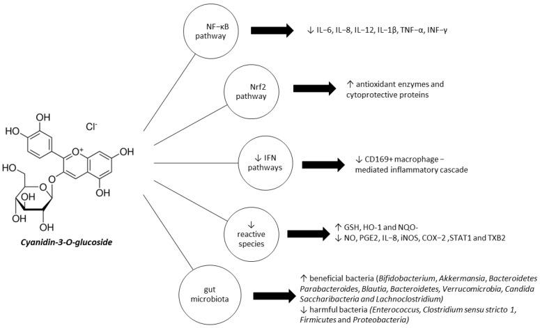 https://cdn.ncbi.nlm.nih.gov/pmc/blobs/4fc8/10254033/d344598bd480/ijms-24-09399-g001.jpg
