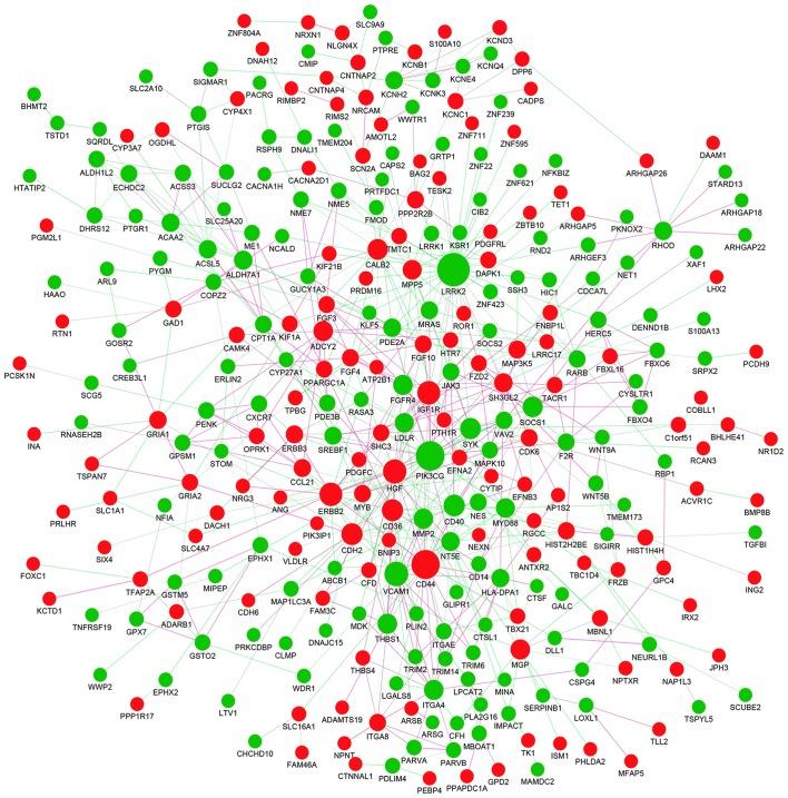 https://cdn.ncbi.nlm.nih.gov/pmc/blobs/4fca/6172374/f41011d1db01/MMR-18-05-4499-g07.jpg
