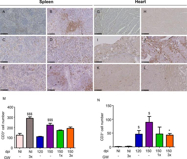 https://cdn.ncbi.nlm.nih.gov/pmc/blobs/4fca/6690554/53d29ccf63b0/pntd.0007602.g008.jpg