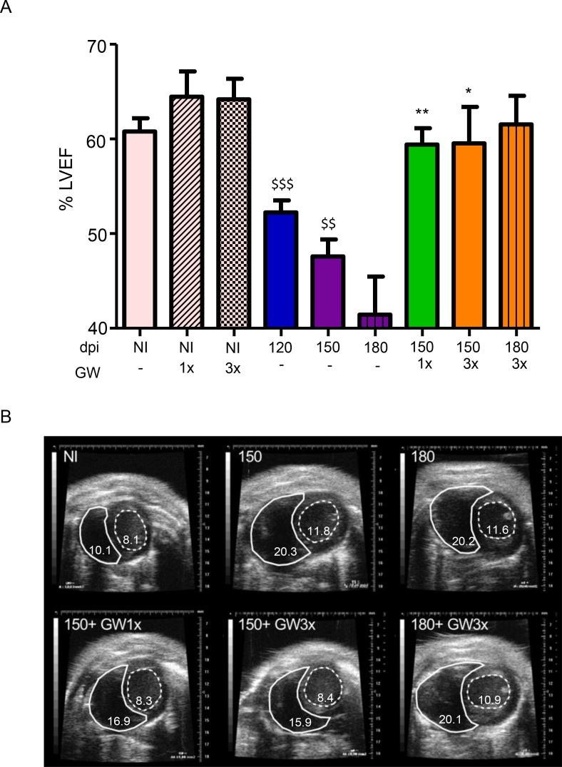 https://cdn.ncbi.nlm.nih.gov/pmc/blobs/4fca/6690554/779e028e279f/pntd.0007602.g005.jpg