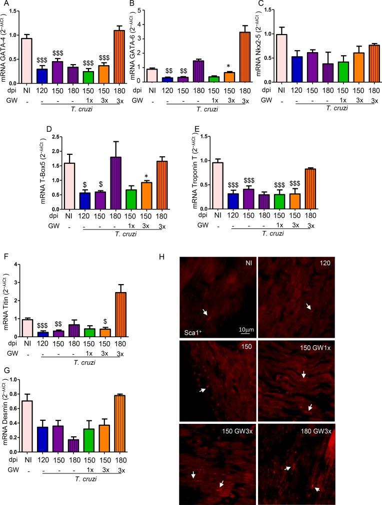 https://cdn.ncbi.nlm.nih.gov/pmc/blobs/4fca/6690554/c98926038043/pntd.0007602.g007.jpg