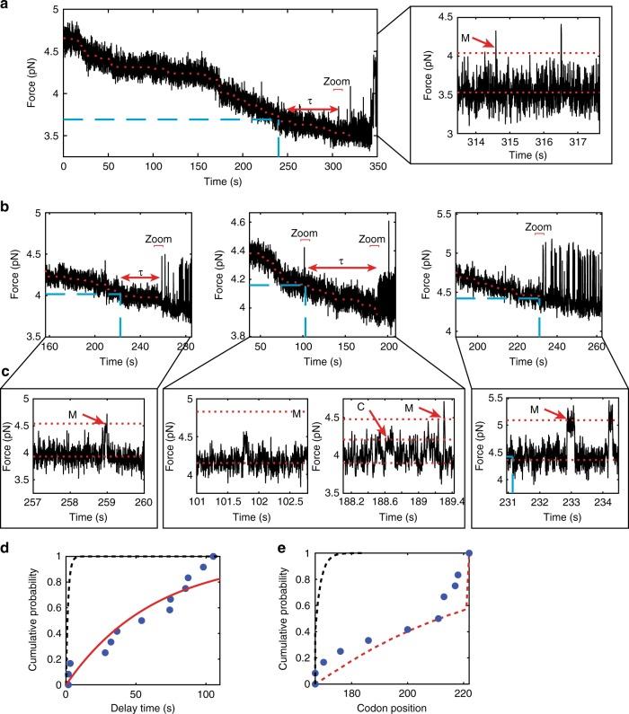 https://cdn.ncbi.nlm.nih.gov/pmc/blobs/4fcb/6586675/612c7d1a658b/41467_2019_10647_Fig5_HTML.jpg