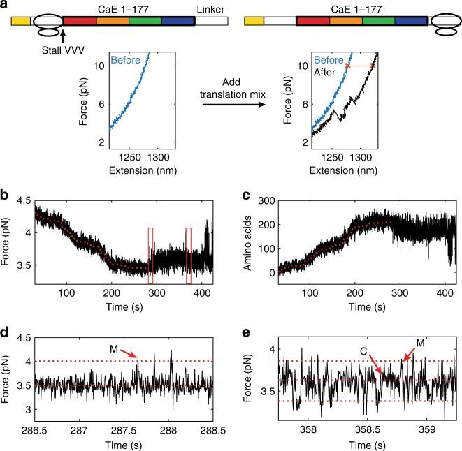 https://cdn.ncbi.nlm.nih.gov/pmc/blobs/4fcb/6586675/85fa5a897e27/41467_2019_10647_Fig4_HTML.jpg
