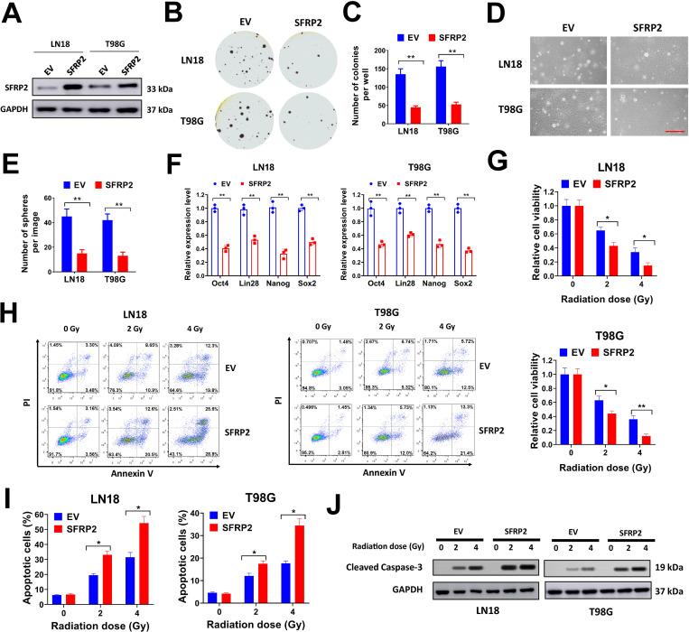 https://cdn.ncbi.nlm.nih.gov/pmc/blobs/4fcb/8635357/7e7a71d7af30/pone.0260864.g003.jpg