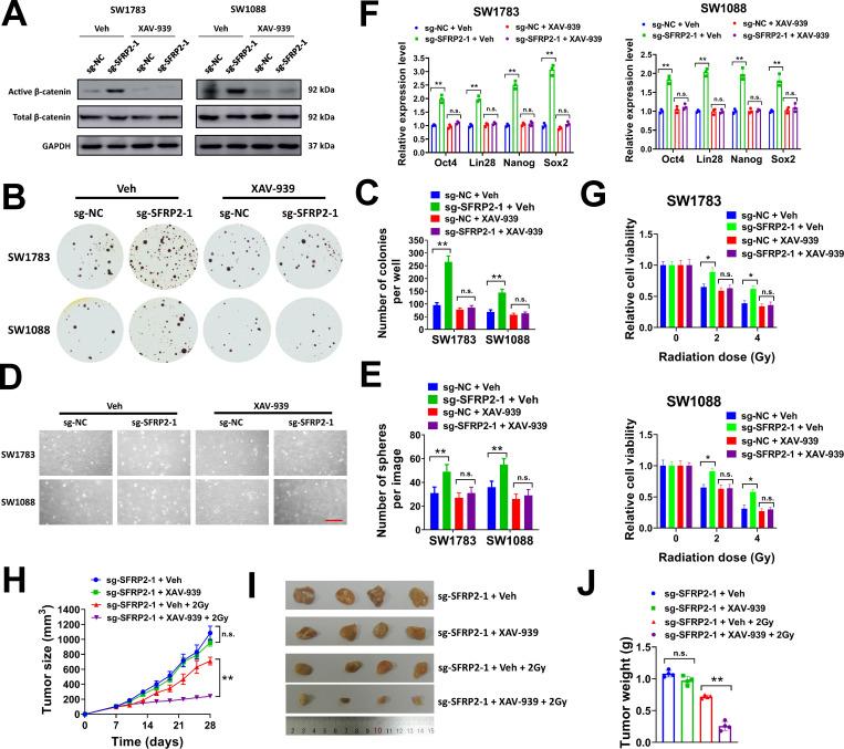 https://cdn.ncbi.nlm.nih.gov/pmc/blobs/4fcb/8635357/af83abf2c83b/pone.0260864.g006.jpg