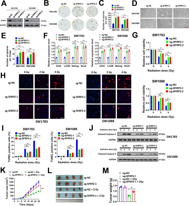 https://cdn.ncbi.nlm.nih.gov/pmc/blobs/4fcb/8635357/e1438c636937/pone.0260864.g002.jpg