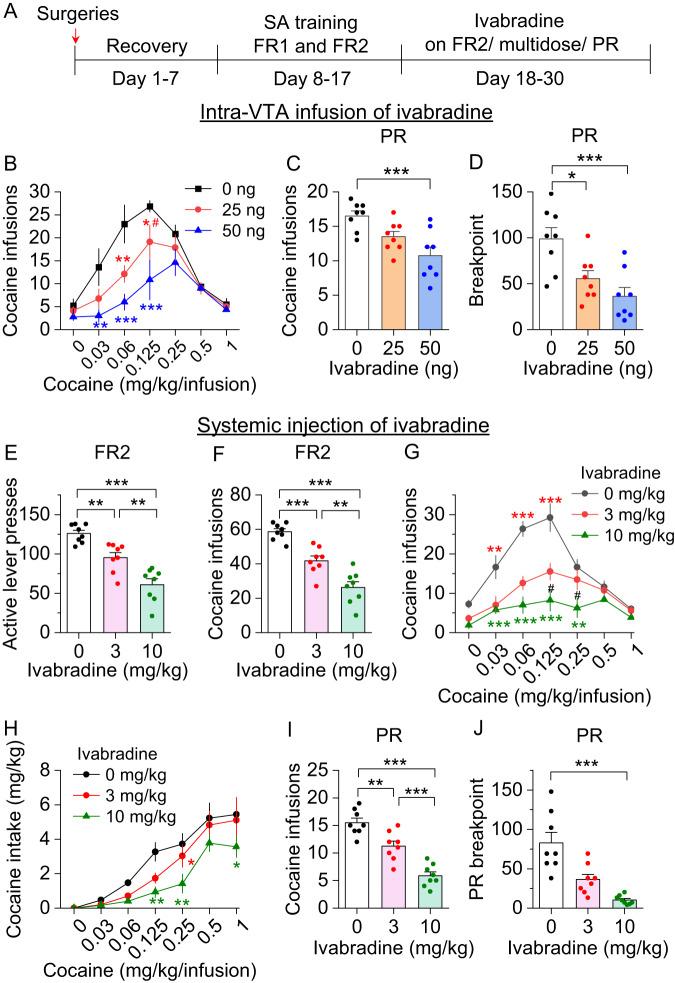 https://cdn.ncbi.nlm.nih.gov/pmc/blobs/4fcc/10730389/b451d51b0a9a/41380_2023_2290_Fig6_HTML.jpg