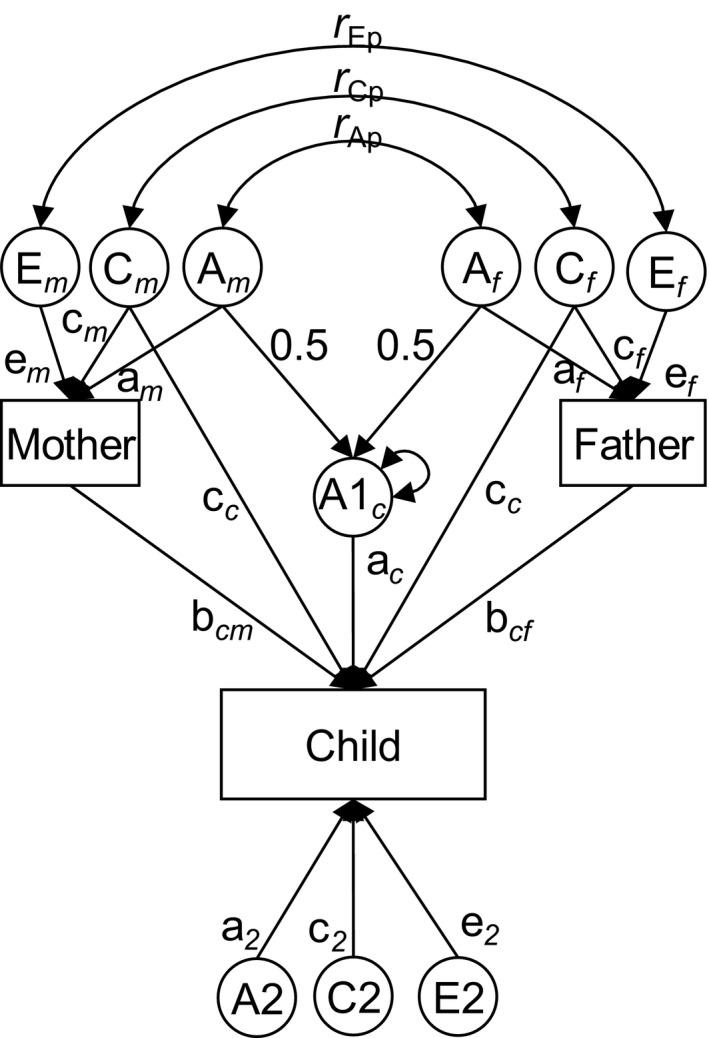 https://cdn.ncbi.nlm.nih.gov/pmc/blobs/4fcc/8607471/381a9d17042b/JCPP-61-1009-g002.jpg