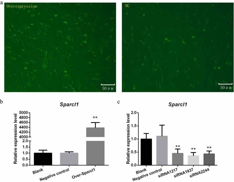https://cdn.ncbi.nlm.nih.gov/pmc/blobs/4fcc/8654481/41928cd1ee25/KADI_A_2010901_F0002_OC.jpg