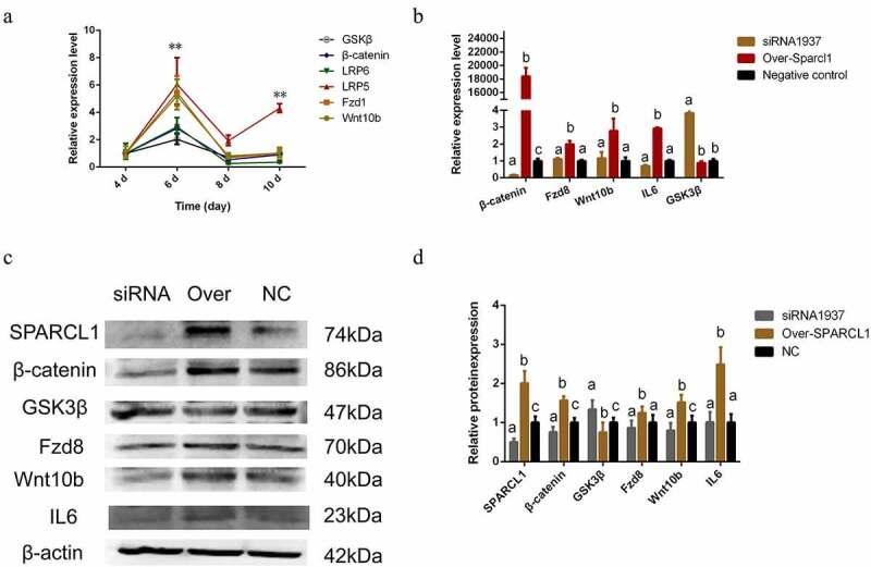 https://cdn.ncbi.nlm.nih.gov/pmc/blobs/4fcc/8654481/e53b57d726c4/KADI_A_2010901_F0005_OC.jpg