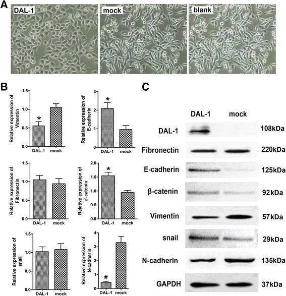 https://cdn.ncbi.nlm.nih.gov/pmc/blobs/4fce/4307741/073aa91626de/13046_2014_117_Fig2_HTML.jpg