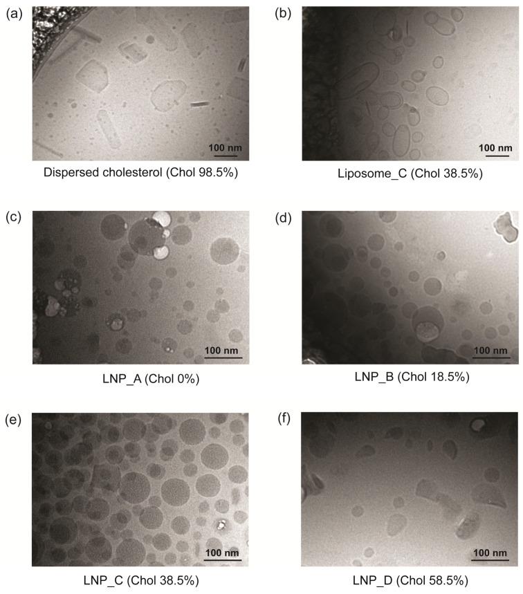 https://cdn.ncbi.nlm.nih.gov/pmc/blobs/4fd1/10893020/c3579b6e5d3c/pharmaceutics-16-00181-g002.jpg