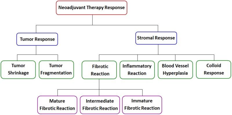 https://cdn.ncbi.nlm.nih.gov/pmc/blobs/4fd1/5739817/0ab2763cbe6f/oncotarget-08-107323-g008.jpg