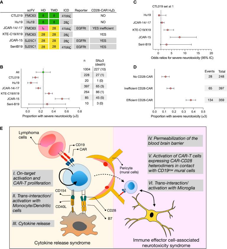 https://cdn.ncbi.nlm.nih.gov/pmc/blobs/4fd2/8635711/c2ddea7adb69/fimmu-12-766220-g001.jpg