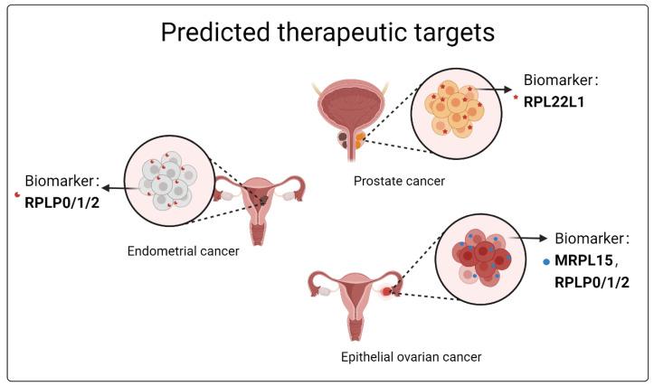 https://cdn.ncbi.nlm.nih.gov/pmc/blobs/4fd4/11642206/62b278fe3f74/ijms-25-13151-g002.jpg
