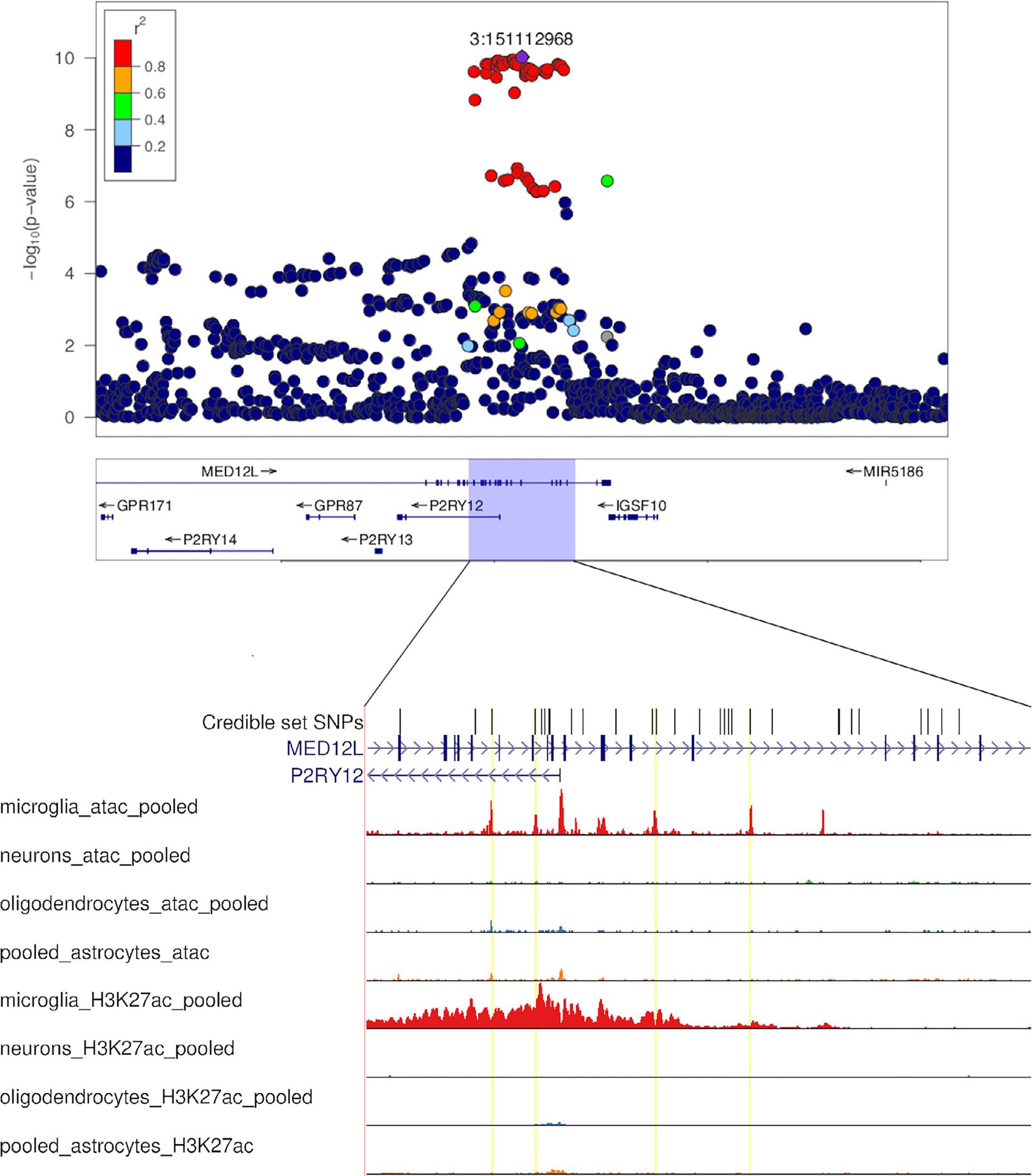 https://cdn.ncbi.nlm.nih.gov/pmc/blobs/4fd8/9017316/1b4a800daf08/nihms-1794657-f0005.jpg