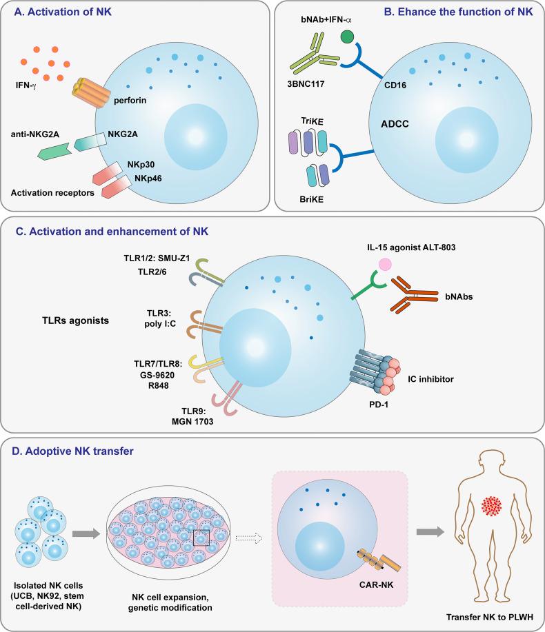 https://cdn.ncbi.nlm.nih.gov/pmc/blobs/4fd9/8967654/2fa3f8e892c7/fimmu-13-842746-g002.jpg