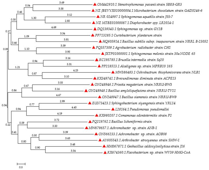 https://cdn.ncbi.nlm.nih.gov/pmc/blobs/4fda/11677524/994ace9203f4/molecules-29-05965-g003.jpg