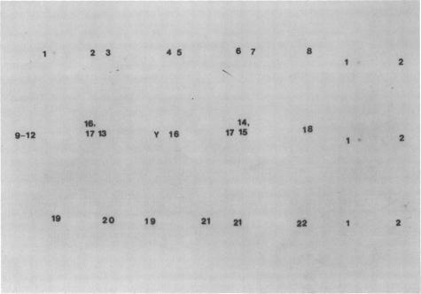 https://cdn.ncbi.nlm.nih.gov/pmc/blobs/4fdd/286611/30d01b710cc9/pnas00243-0270-a.jpg