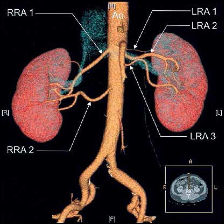 https://cdn.ncbi.nlm.nih.gov/pmc/blobs/4fdd/5868651/66ecbff0b994/AMS-14-26045-g003.jpg