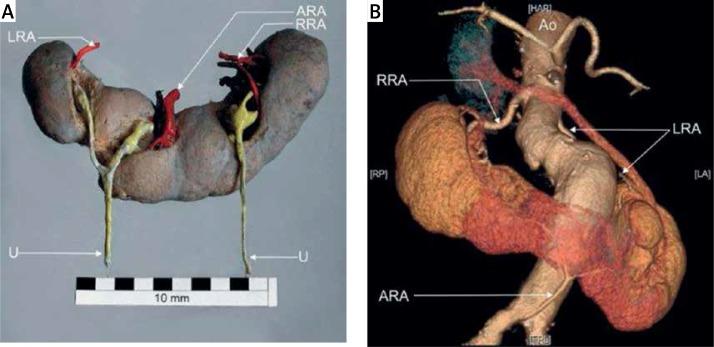 https://cdn.ncbi.nlm.nih.gov/pmc/blobs/4fdd/5868651/eebaea5656b6/AMS-14-26045-g006.jpg