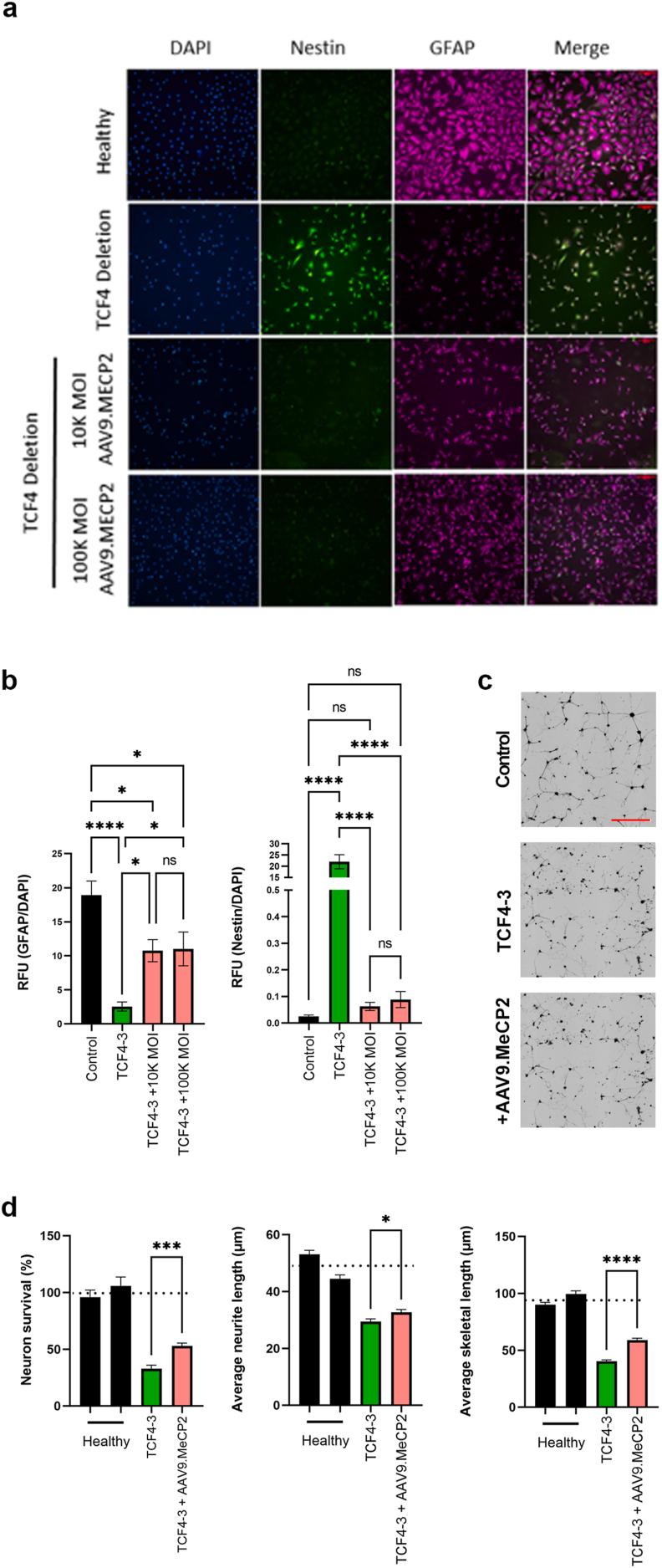 https://cdn.ncbi.nlm.nih.gov/pmc/blobs/4fde/11579869/b6a133e492b6/gr4.jpg