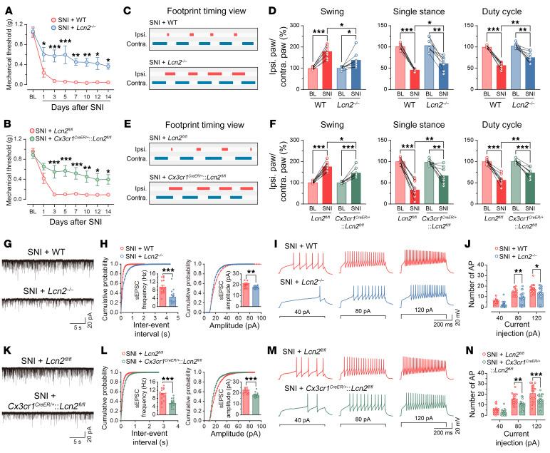 https://cdn.ncbi.nlm.nih.gov/pmc/blobs/4fde/9974096/135cb24fcfed/jci-133-161507-g089.jpg