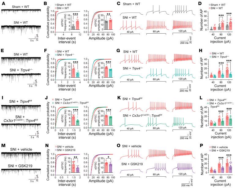 https://cdn.ncbi.nlm.nih.gov/pmc/blobs/4fde/9974096/8c28a5f66781/jci-133-161507-g096.jpg