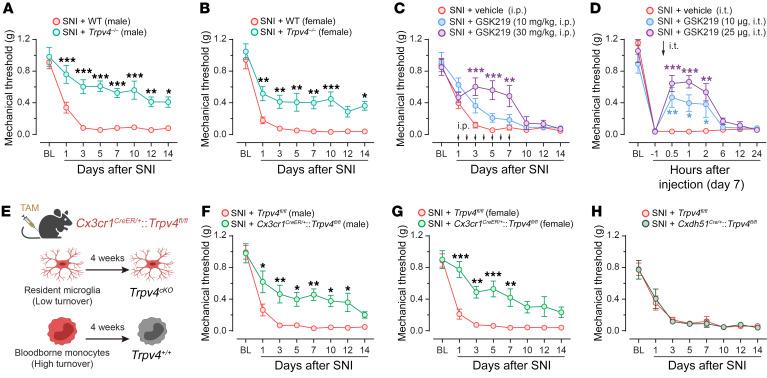 https://cdn.ncbi.nlm.nih.gov/pmc/blobs/4fde/9974096/cfbe0ce2d5e0/jci-133-161507-g091.jpg