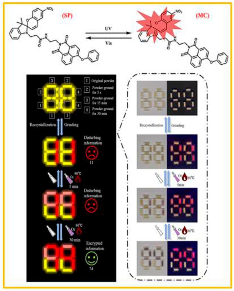 https://cdn.ncbi.nlm.nih.gov/pmc/blobs/4fe0/11173752/517f6672ae47/molecules-29-02536-g005.jpg