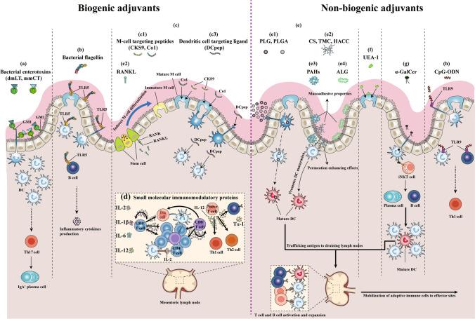 https://cdn.ncbi.nlm.nih.gov/pmc/blobs/4fe4/9821375/2f986db31b07/40259_2022_575_Fig1_HTML.jpg