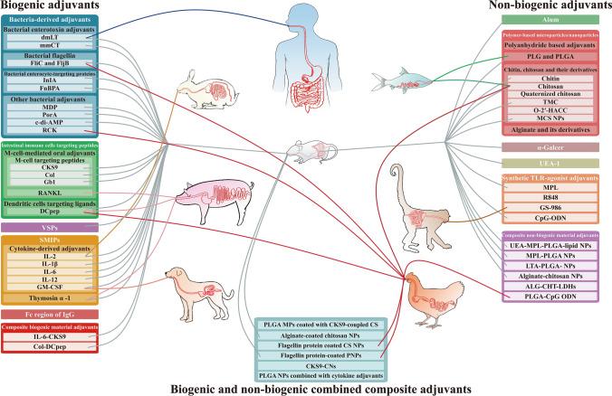 https://cdn.ncbi.nlm.nih.gov/pmc/blobs/4fe4/9821375/580b04c275dc/40259_2022_575_Fig2_HTML.jpg