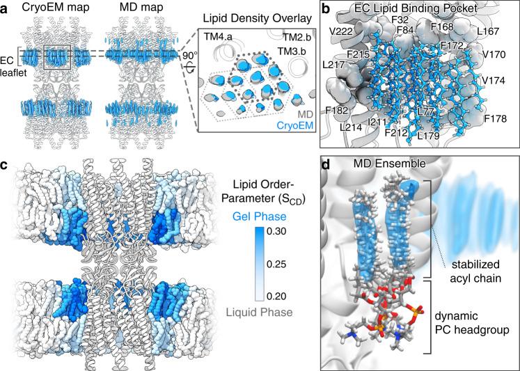 https://cdn.ncbi.nlm.nih.gov/pmc/blobs/4fe6/7455559/f67fd0a839a9/41467_2020_18120_Fig3_HTML.jpg