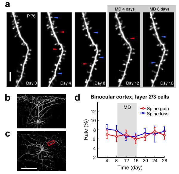 https://cdn.ncbi.nlm.nih.gov/pmc/blobs/4fe7/6485433/2d5e6639ec3c/ukmss-2585-f0002.jpg