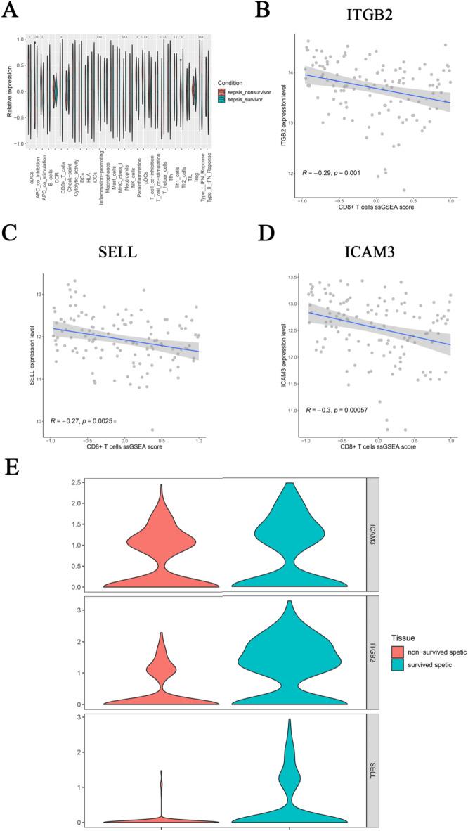 https://cdn.ncbi.nlm.nih.gov/pmc/blobs/4fea/11993633/2323bd67037d/41598_2025_93685_Fig8_HTML.jpg
