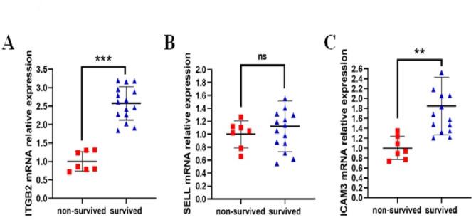 https://cdn.ncbi.nlm.nih.gov/pmc/blobs/4fea/11993633/4bb261854e62/41598_2025_93685_Fig10_HTML.jpg